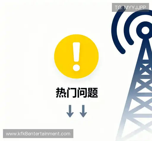 用户指南